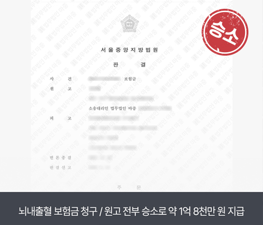 뇌출혈 진단비 이미지０２