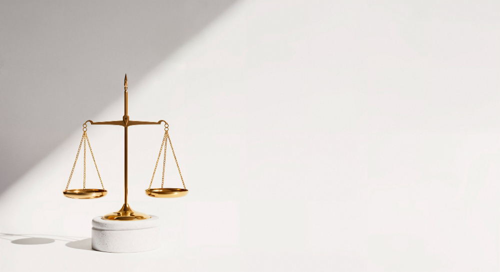외국인전문변호사 외국인형사, 출입국전문